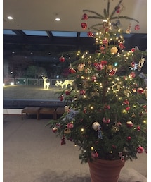 GEMMA.H UOMO | マフラー