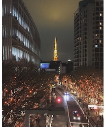 A.D.S.R. | サングラス