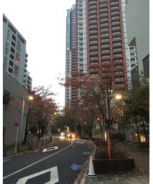 LOVELESS | シャツ/ブラウス