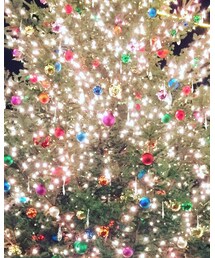 GUILD PRIME | シャツ/ブラウス