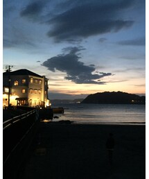 MOSCOT | サングラス