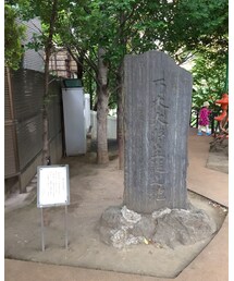 DSQUARED2 | デニムパンツ