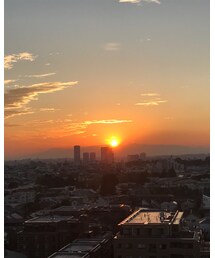 DSQUARED2 | ダウンジャケット/コート