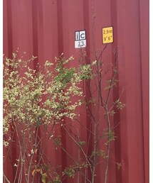 COS | Tシャツ/カットソー