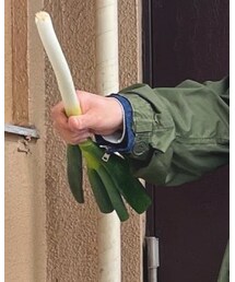 no brand | その他