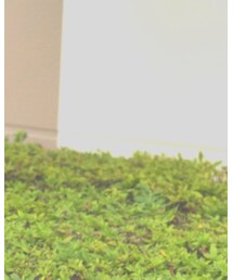 POLICE | サングラス