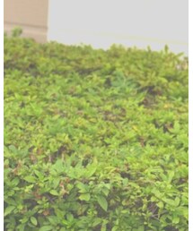 GUILD PRIME | Tシャツ/カットソー