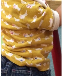 Birthday | Tシャツ/カットソー