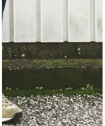 REPRODUCTION OF FOUND | スニーカー