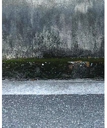 ALDEN | ローファー