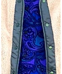 TIGRE BROCANTE | シャツ/ブラウス