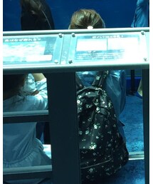 adidas Originals | サロペット/オーバーオール