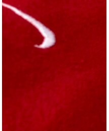 NIKE | スウェット