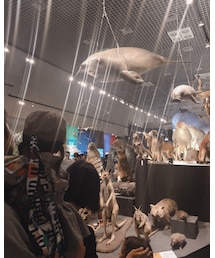 大哺乳類展 | その他