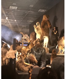 大哺乳類展② | その他