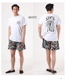 SANTA CRUZ | Tシャツ/カットソー