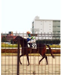 お馬さん🏇💕 | その他