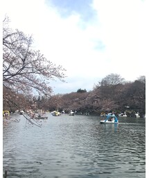 井の頭公園🌳 | その他