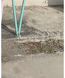 GU | パンプス