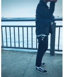 豊洲の海 | その他