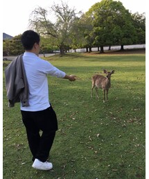 奈良公園 | その他