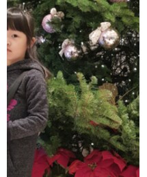 roots | ワンピース