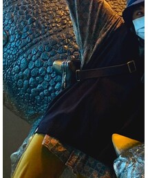 LOUIS VUITTON | ボディバッグ/ウエストポーチ