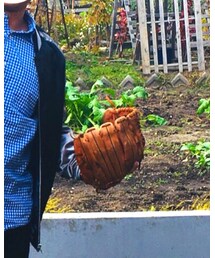 MIZUNO | グローブ(スポーツグッズ)