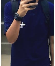STUSSY | Tシャツ/カットソー