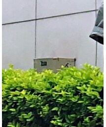 FREITAG | ショルダーバッグ