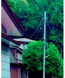 山の中 | その他