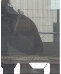 BURBERRY | ジャケット/アウター