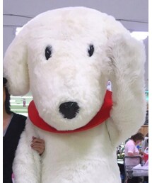 イオン | つなぎ/オールインワン