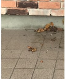 GU | その他パンツ