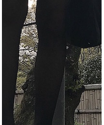 靴下屋 | タイツ/ストッキング