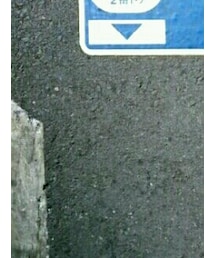 靴下屋 | ソックス/靴下