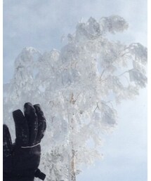 竜王スキーパーク | その他