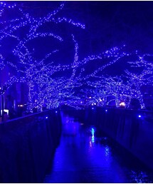 青の洞窟 | その他