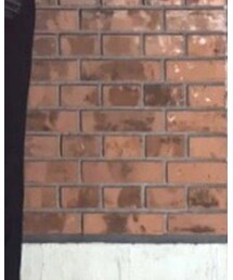 COMME des GARCONS | パンツ