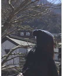 Supreme  | ニットキャップ/ビーニー