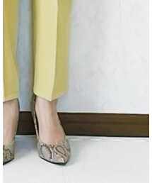 AmiAmi | パンプス