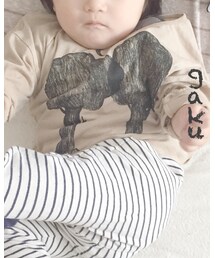 BOBO CHOSES | Tシャツ/カットソー