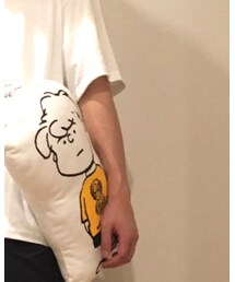 CIAOPANIC TYPY | クッション/クッションカバー