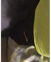 UNIQLO | その他パンツ