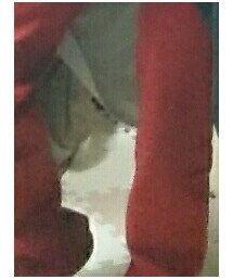 GADGET GROW | デニムパンツ