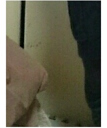 GADGET GROW | その他パンツ