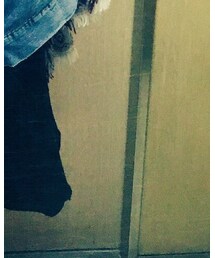 ZARA | ワンピース