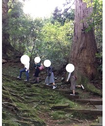 ジブリっぽい🌲 | その他