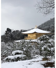 雪の金閣 | ラッピングキット