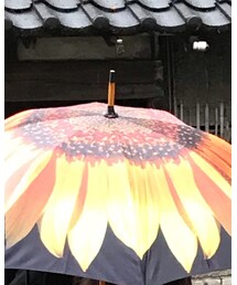 旅先で買ったジャンプしないやつ🌻 | 長傘
